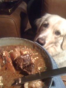Beef and Root Vegetable Stew (Jack Sniffing)